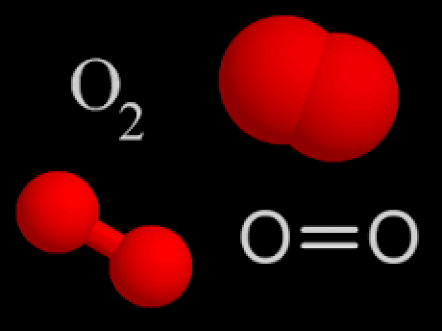 Molecula 13833