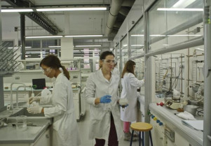 Iqs investigacion 26717