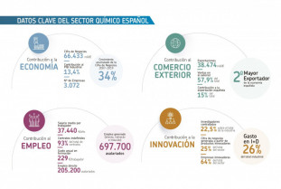 Datos clave 2019 sector quimico 26557