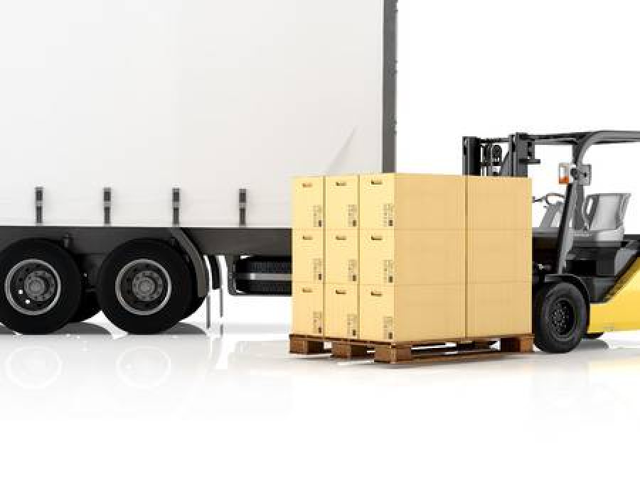 Carretilla carga camion 20731