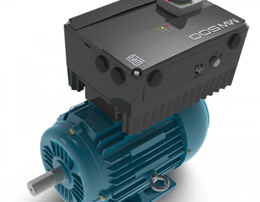 Weg convertidor 12652