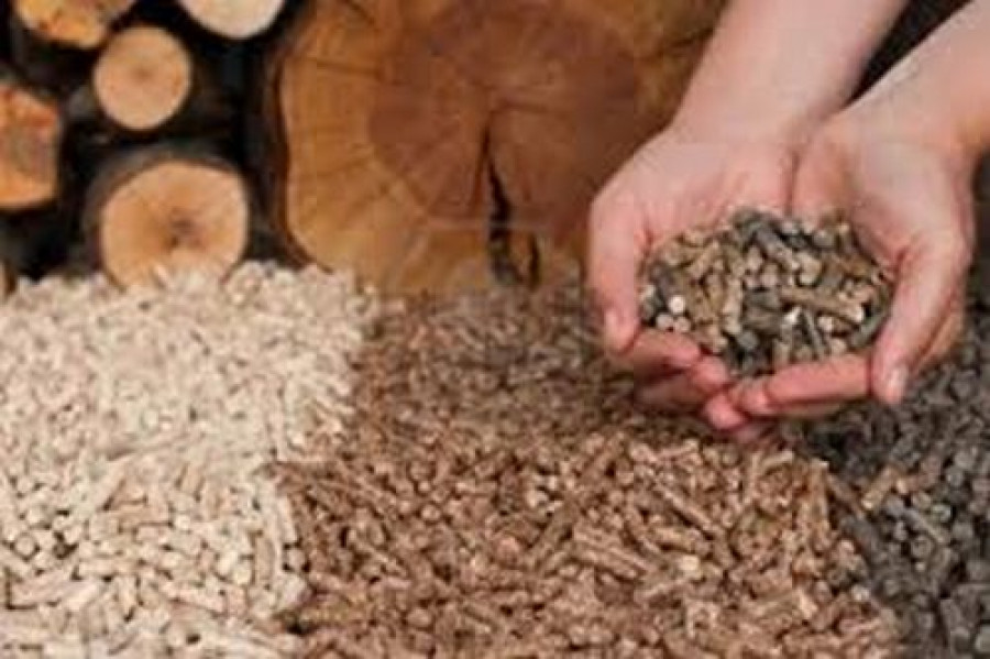 Pellet 12574