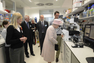 Reinainglaterra 12175