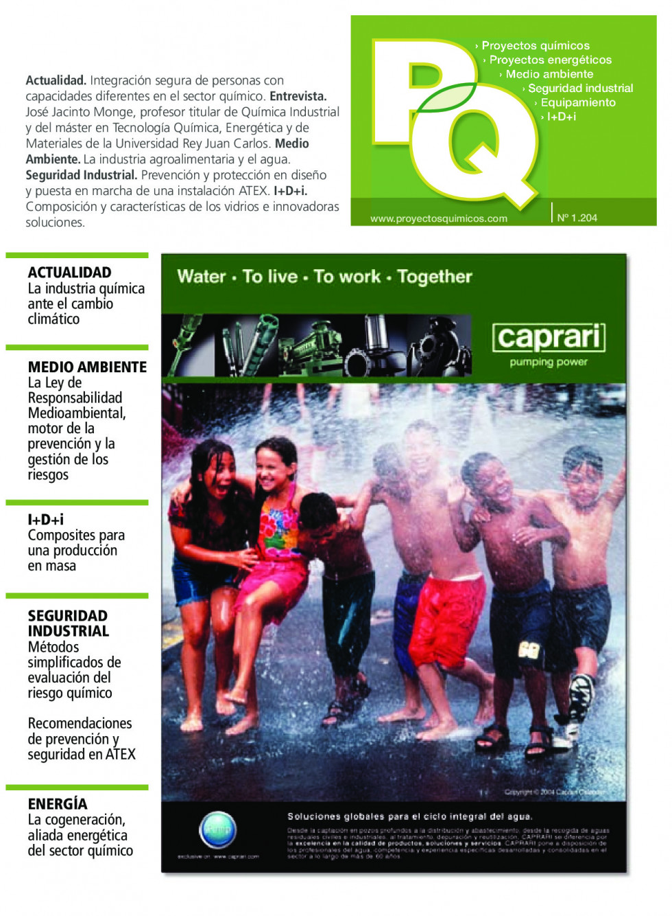 Quimica1204.pdf 1