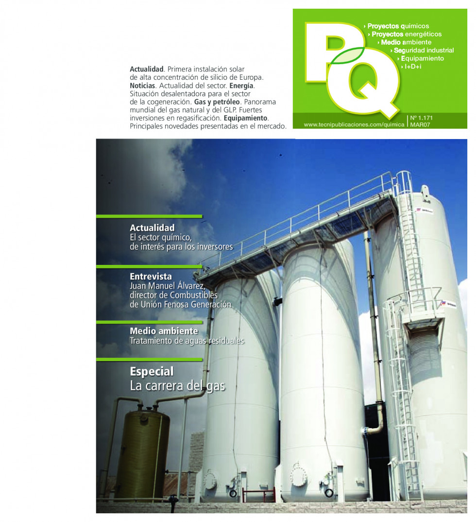 Quimica1171.pdf 1