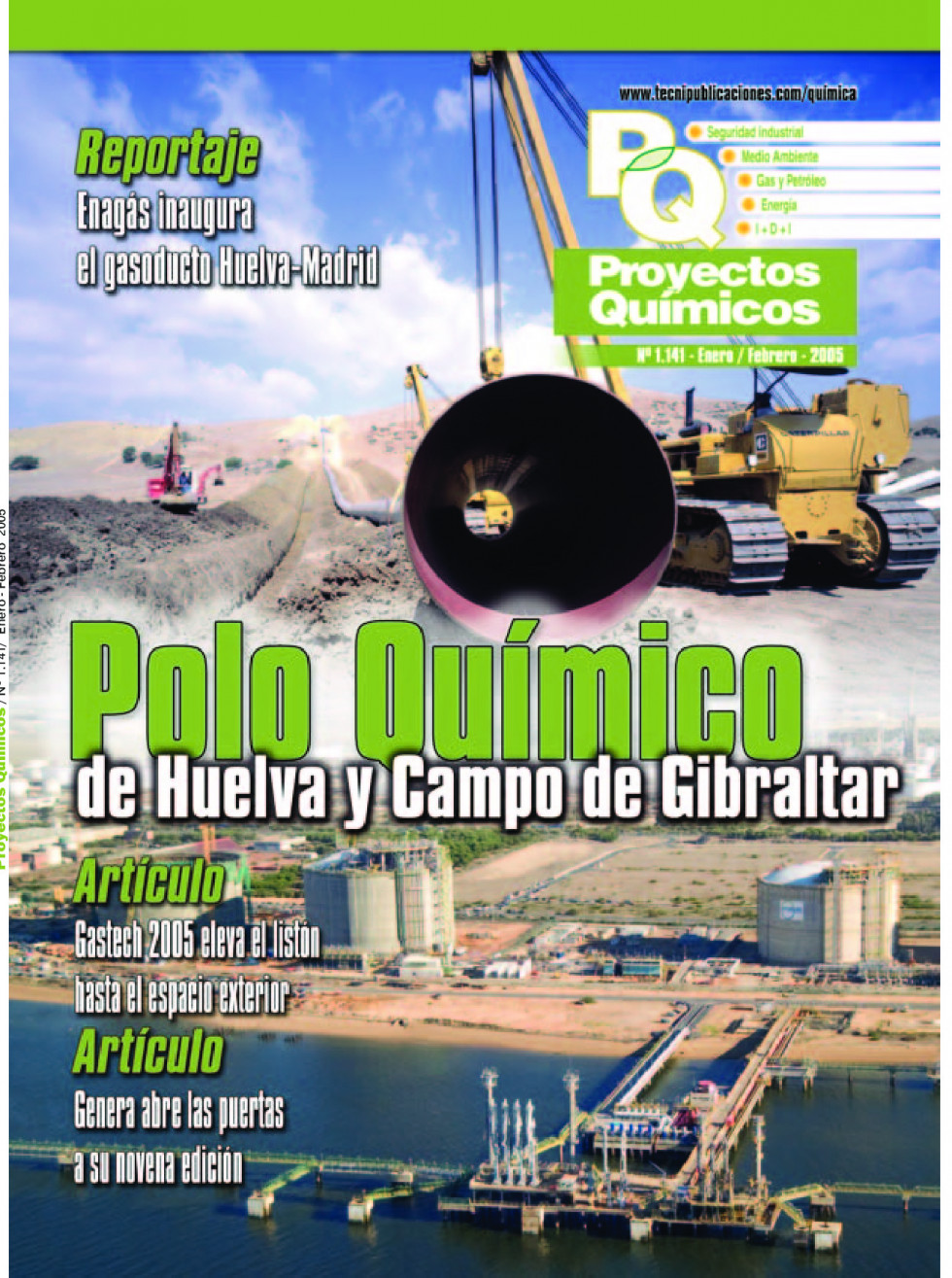 Quimica1141.pdf 1