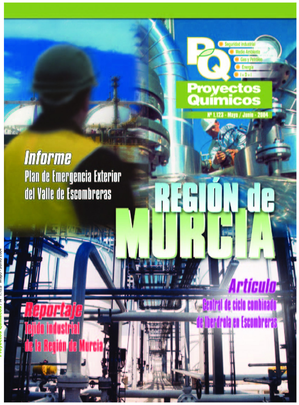 Quimica1123.pdf 1