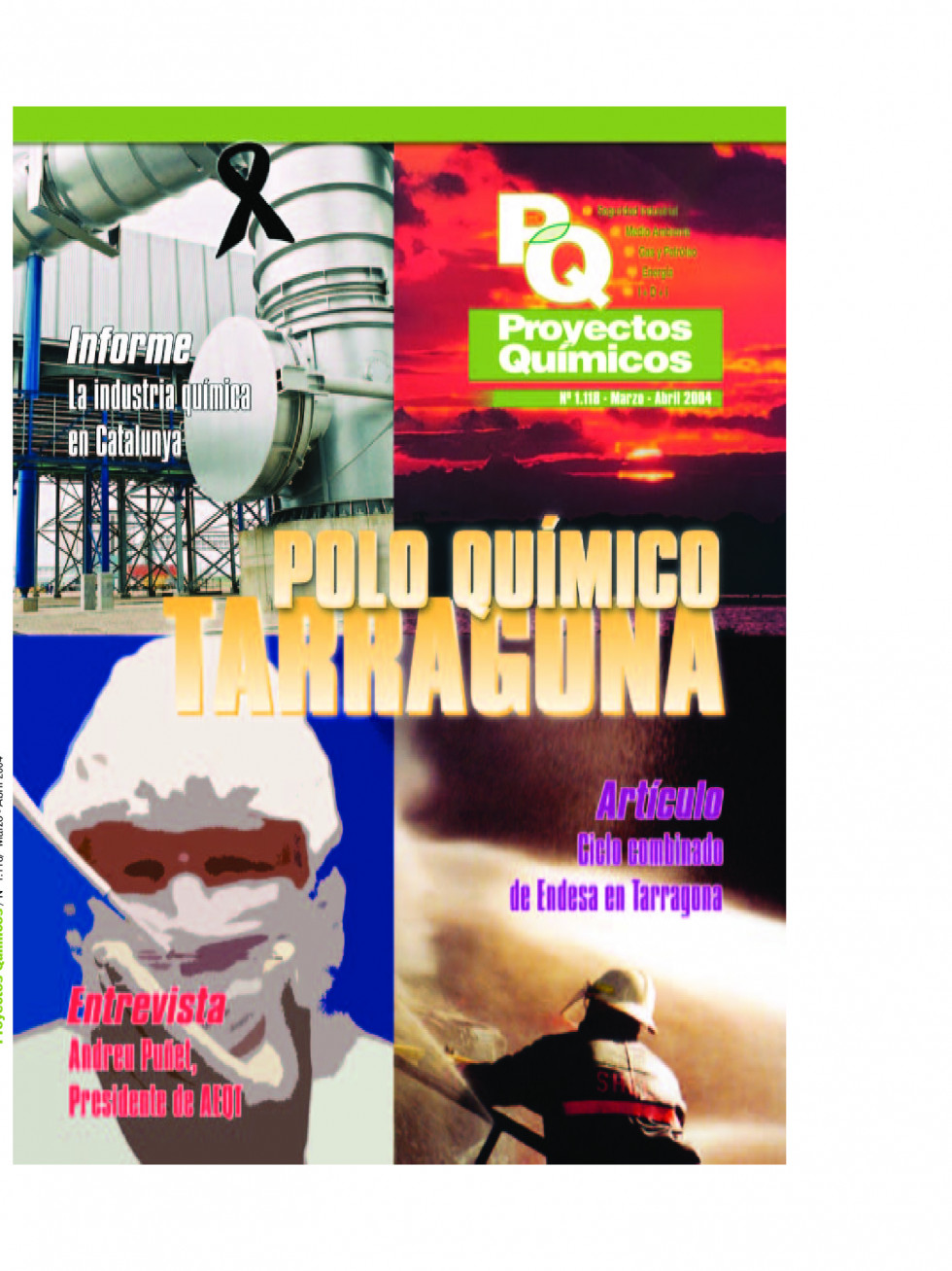 Quimica1118.pdf 1
