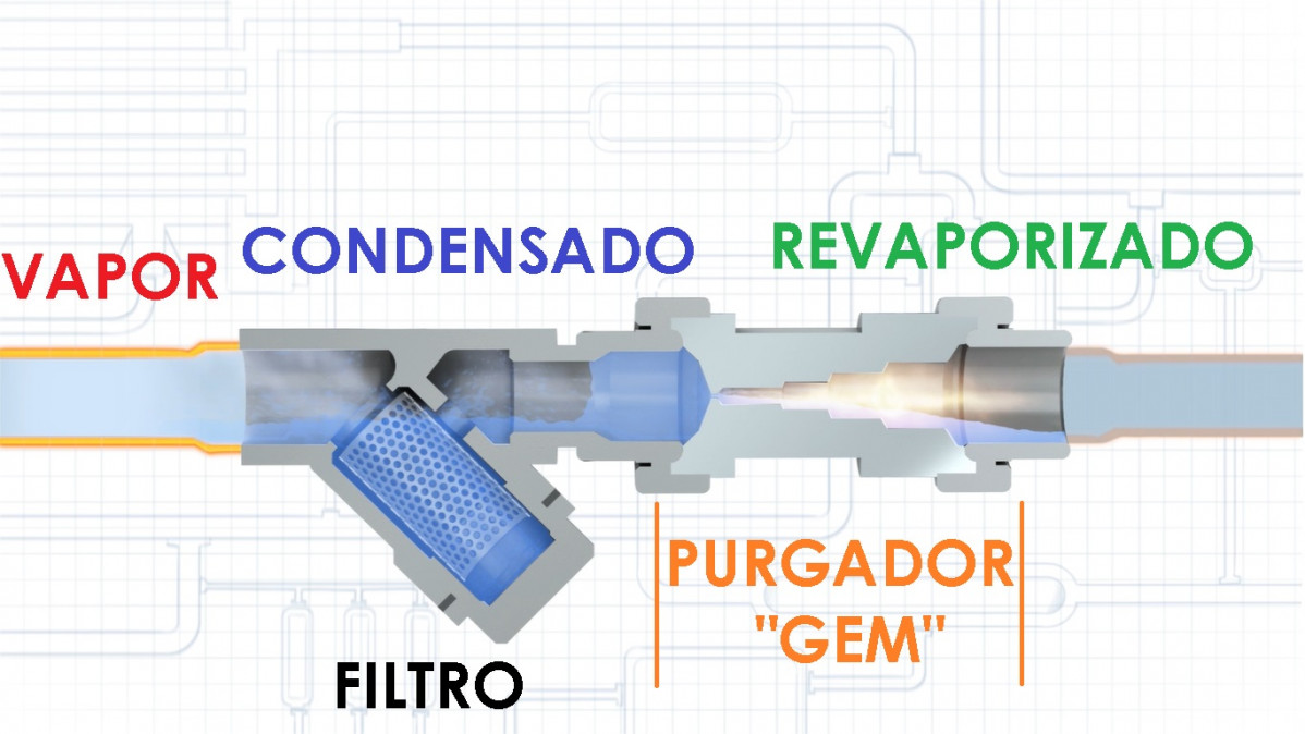 GEM Seccion Funcion Titulos