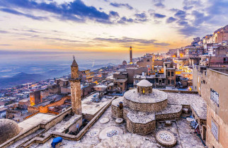 Turquia y feique