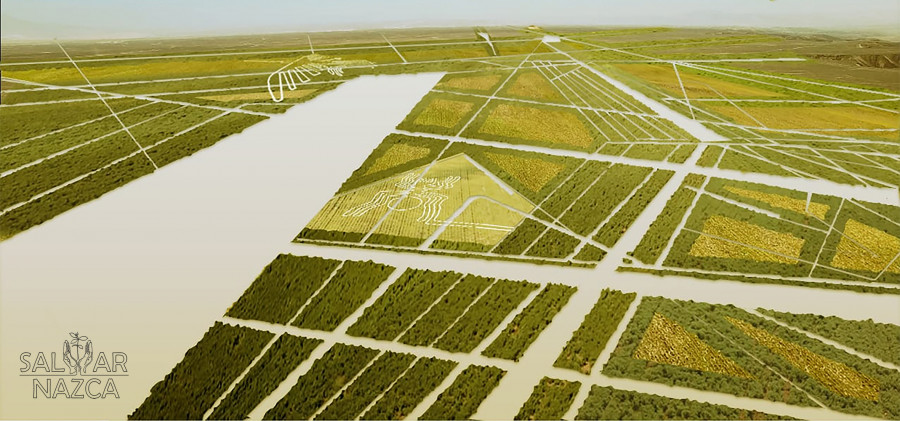 Salvar nazca FOTO DESIERTO VERDE