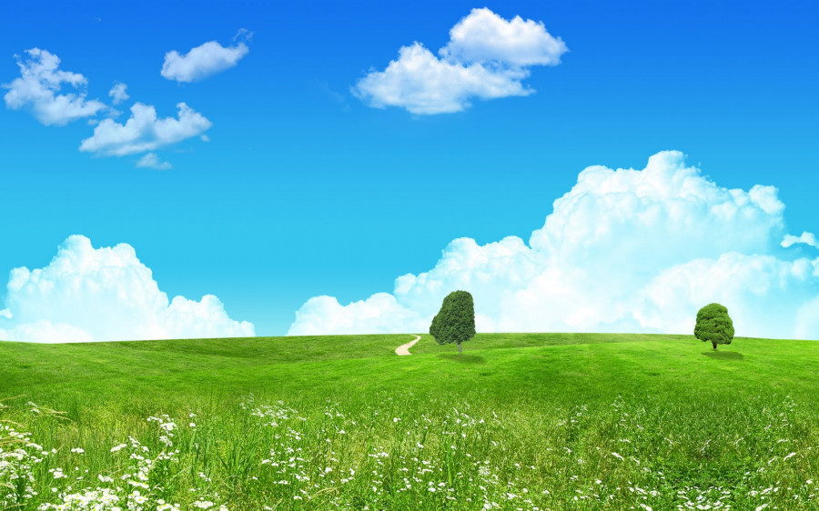 Paisaje verde