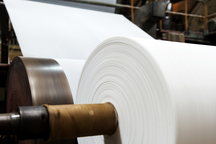 Industria papelera