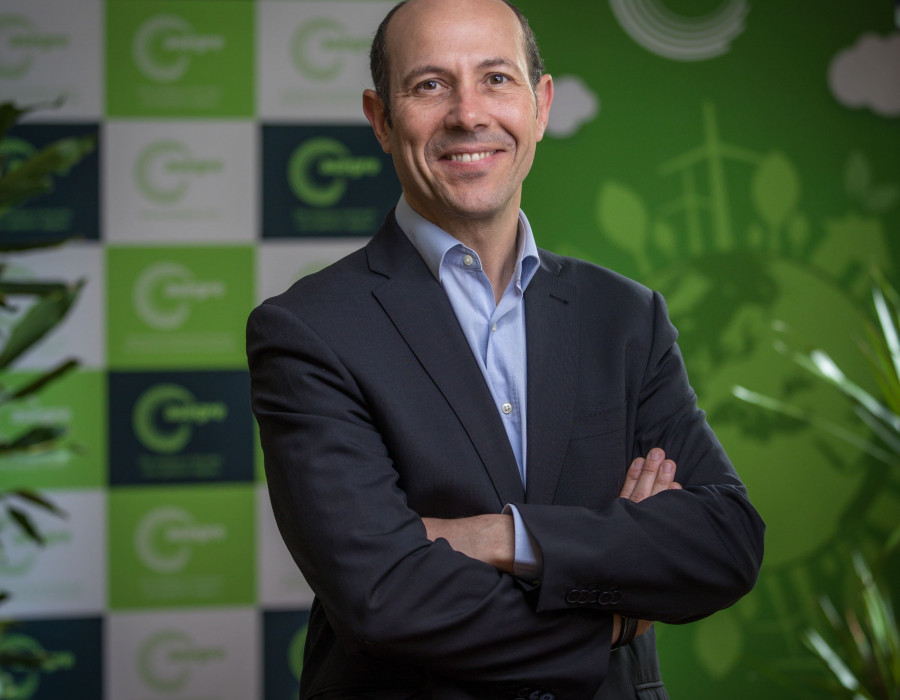 Luis Palomino