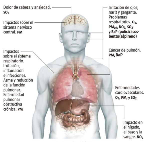 PARTICULAS ENFERMEDADES