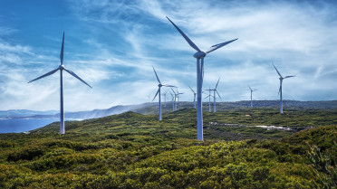 Sector energetico ifs