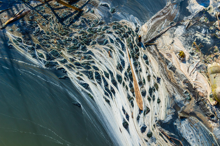 Water pollution 6159749