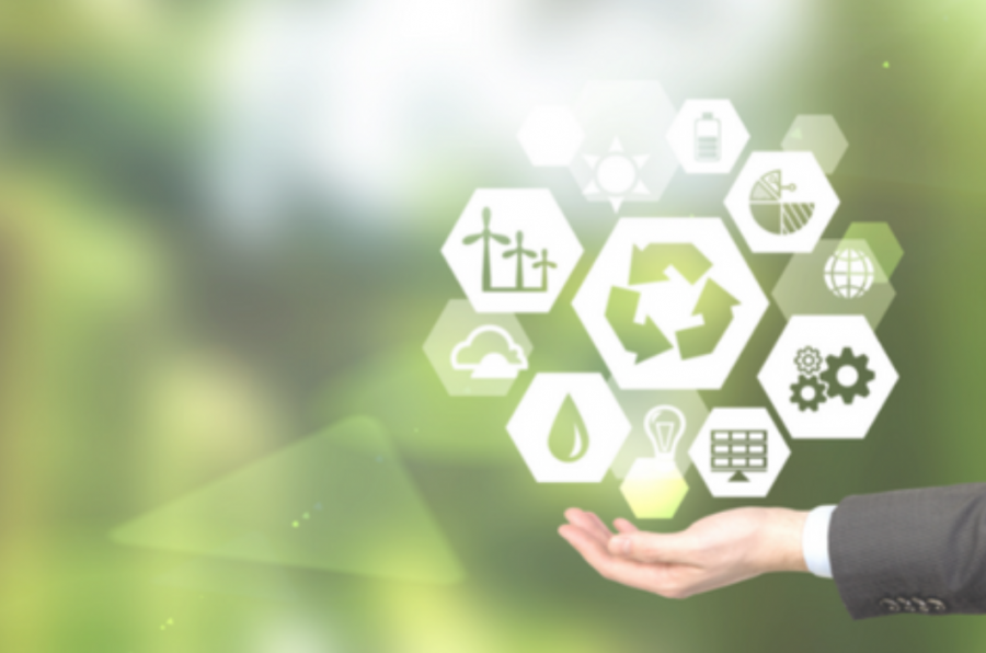 Imagen cursos medio ambiente