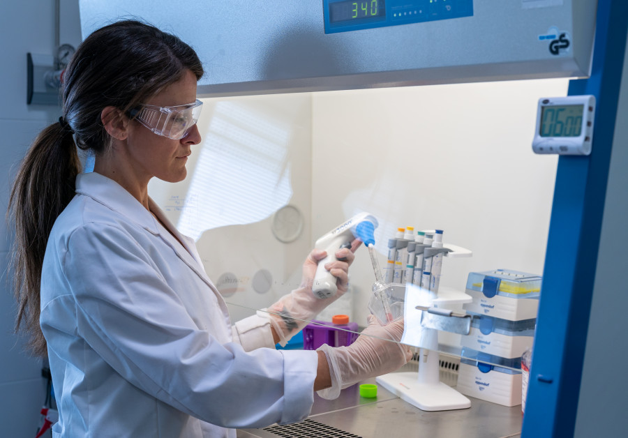 Aimplas descontaminación
