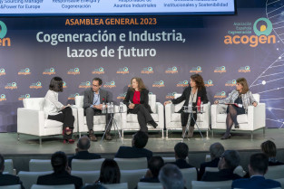 Acogen asamblea