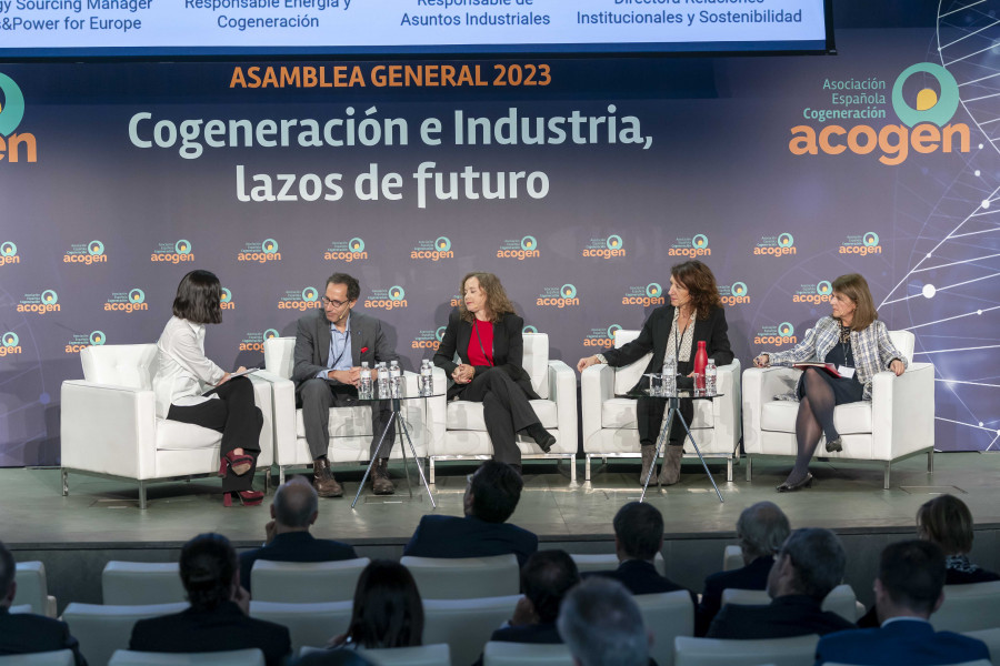 Acogen asamblea