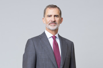 Sm el rey don felipe vi media 0