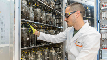 Aimplas bioplasticos ensayos 1