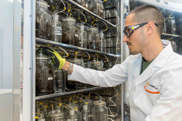 Aimplas bioplasticos ensayos 1